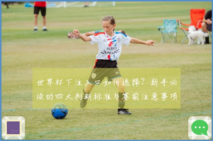 世界杯下注入口如何选择?新手必读的四大判断标准与赛前注意事项